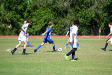 Enlarge photo 386