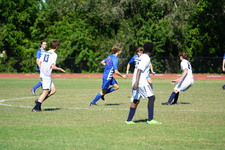 Enlarge photo 385