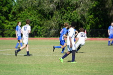 Enlarge photo 387
