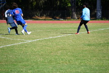 Enlarge photo 391