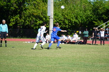 Enlarge photo 392