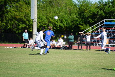 Enlarge photo 393