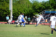 Enlarge photo 394