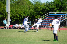 Enlarge photo 395