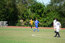 Enlarge photo 398