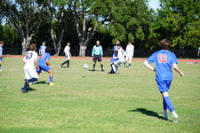Enlarge photo 413