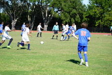 Enlarge photo 416
