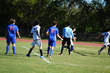 Enlarge photo 424