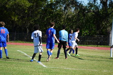 Enlarge photo 425