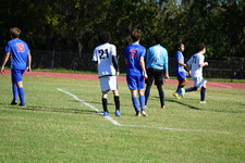 Enlarge photo 427