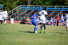 Enlarge photo 426