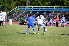 Enlarge photo 428