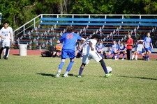 Enlarge photo 430