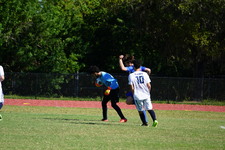 Enlarge photo 437