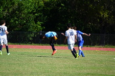 Enlarge photo 438