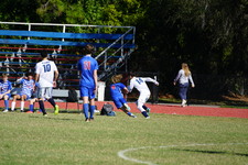 Enlarge photo 439