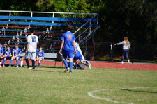Enlarge photo 442