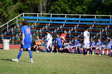 Enlarge photo 444