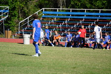 Enlarge photo 446