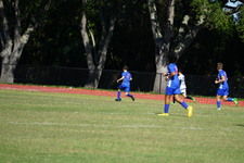 Enlarge photo 447