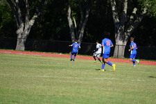 Enlarge photo 450