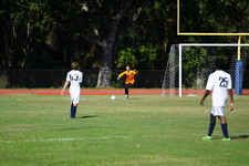 Enlarge photo 452