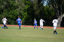 Enlarge photo 459