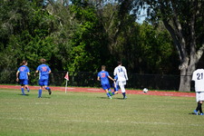 Enlarge photo 461