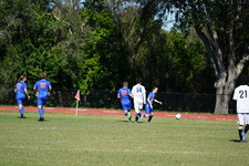 Enlarge photo 463