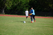 Enlarge photo 466