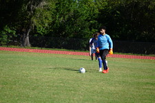 Enlarge photo 468