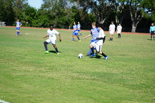 Enlarge photo 470