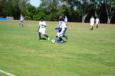 Enlarge photo 471