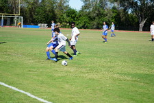 Enlarge photo 473