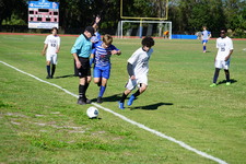 Enlarge photo 476