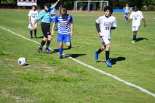 Enlarge photo 478