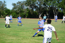 Enlarge photo 484