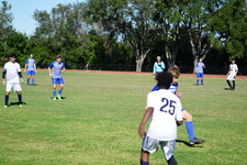 Enlarge photo 485