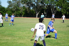 Enlarge photo 487