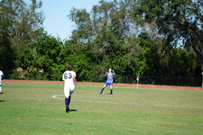 Enlarge photo 491