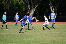 Enlarge photo 498
