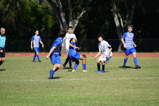 Enlarge photo 499