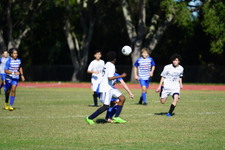 Enlarge photo 501