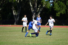 Enlarge photo 502