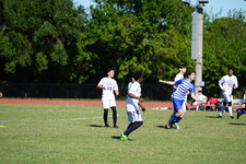 Enlarge photo 508