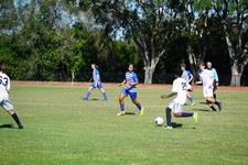 Enlarge photo 509