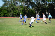 Enlarge photo 513