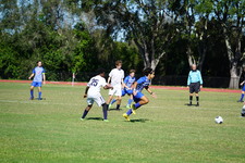 Enlarge photo 514