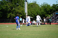 Enlarge photo 516
