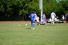 Enlarge photo 517